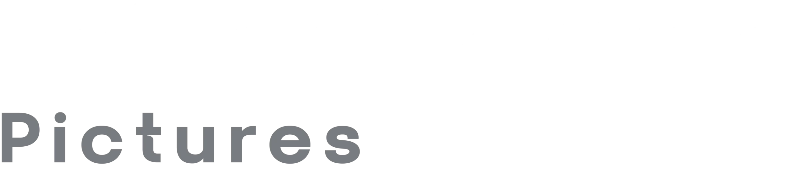 PrimeScopePictures White Logo